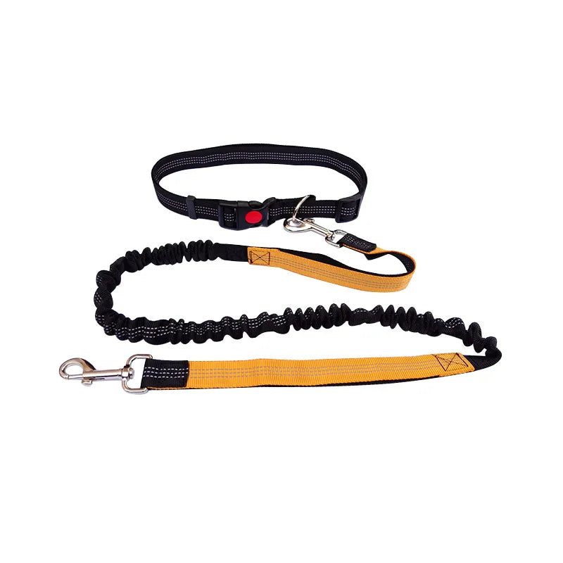 Hands-Free Dog Leash – Adjustable Waist Belt for Walking, Running & Jogging