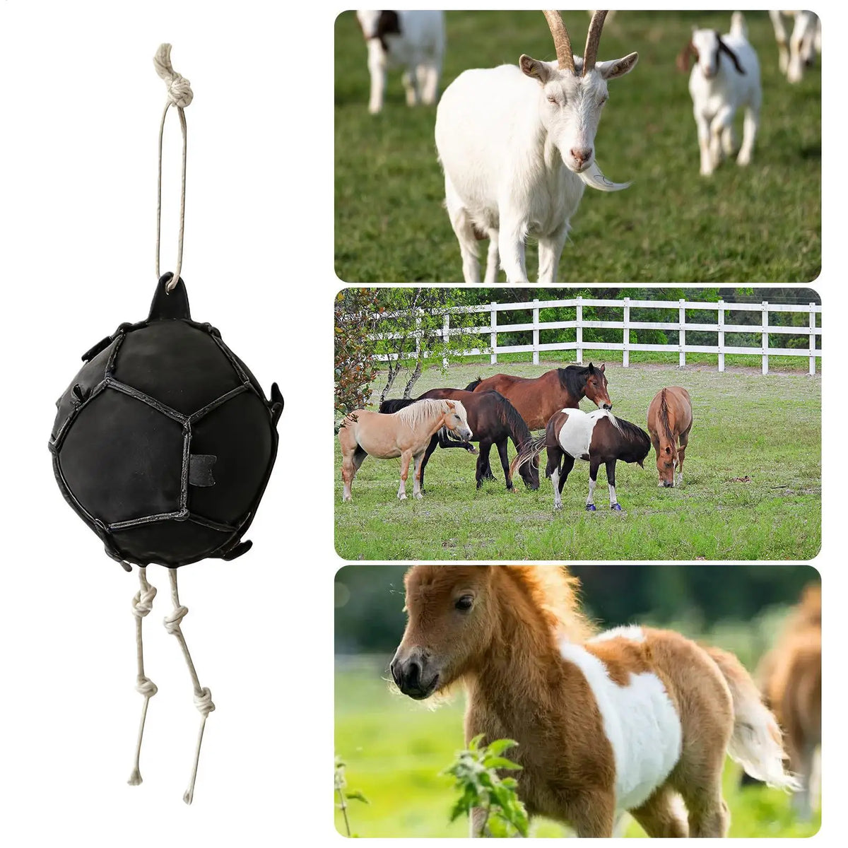 ChatGPT said:
Horse Carrot Feeding Ball & Hay Feeder – Hanging Treat Dispenser for Horses, Goats & Sheep, Stress Relief & Foraging Toy
Odoo Inc
Run your business o