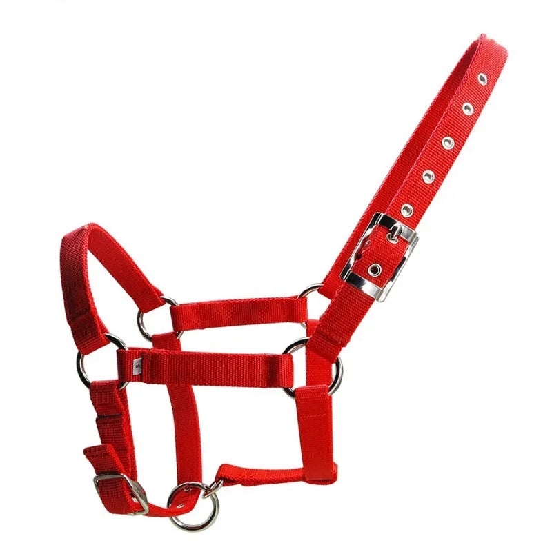 Adjustable Horse Halter – 25mm PP Webbing Headcollar with Metal Buckles (3 Colors)