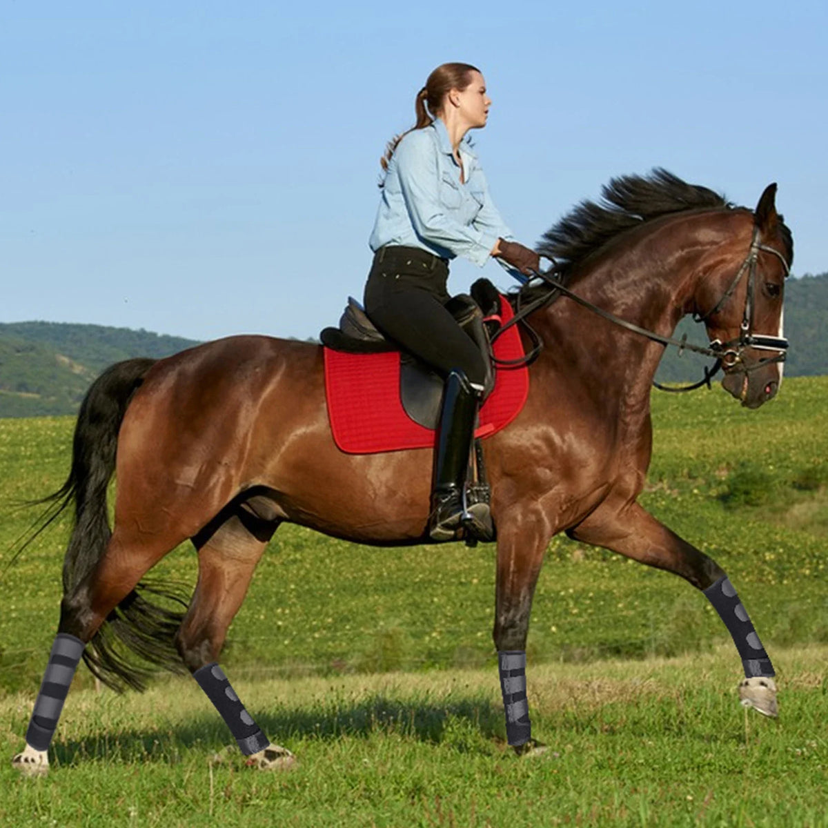 4-Piece Horse Leg Boots, Adjustable Front & Hind Leg Protection, Tendon Guards for Impact and Collision Protection, Equestrian Riding Equipment