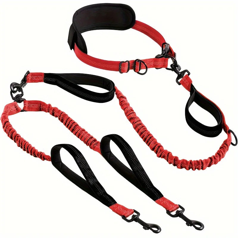 Shock-Absorbing Double Dog Leash – Elastic Buffer Hands-Free Running Lead for Small & Large Dogs
