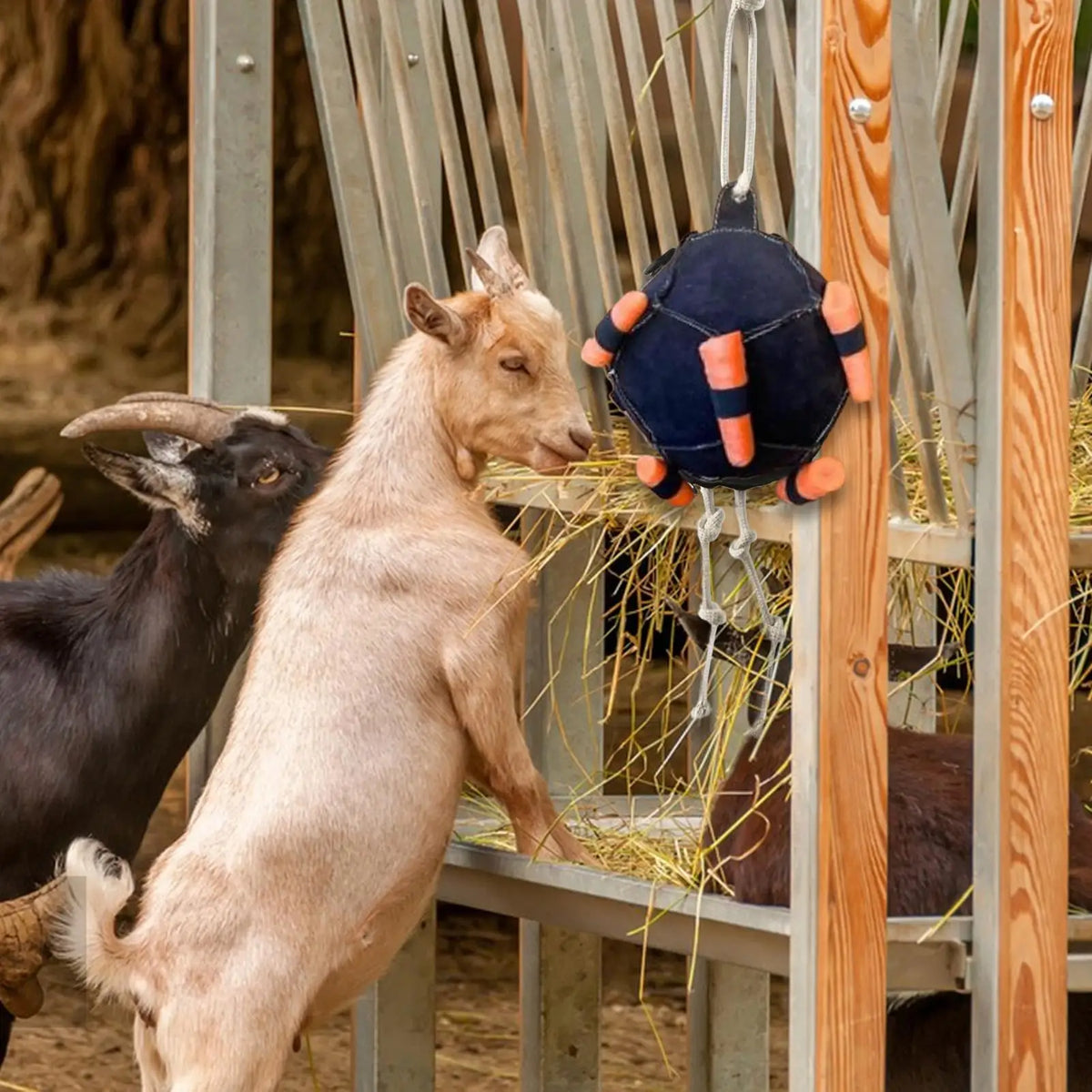 Horse Enrichment Carrot Slow Feeder Toy – Hangable Equine Training & Boredom Relief Feeder (1PC)