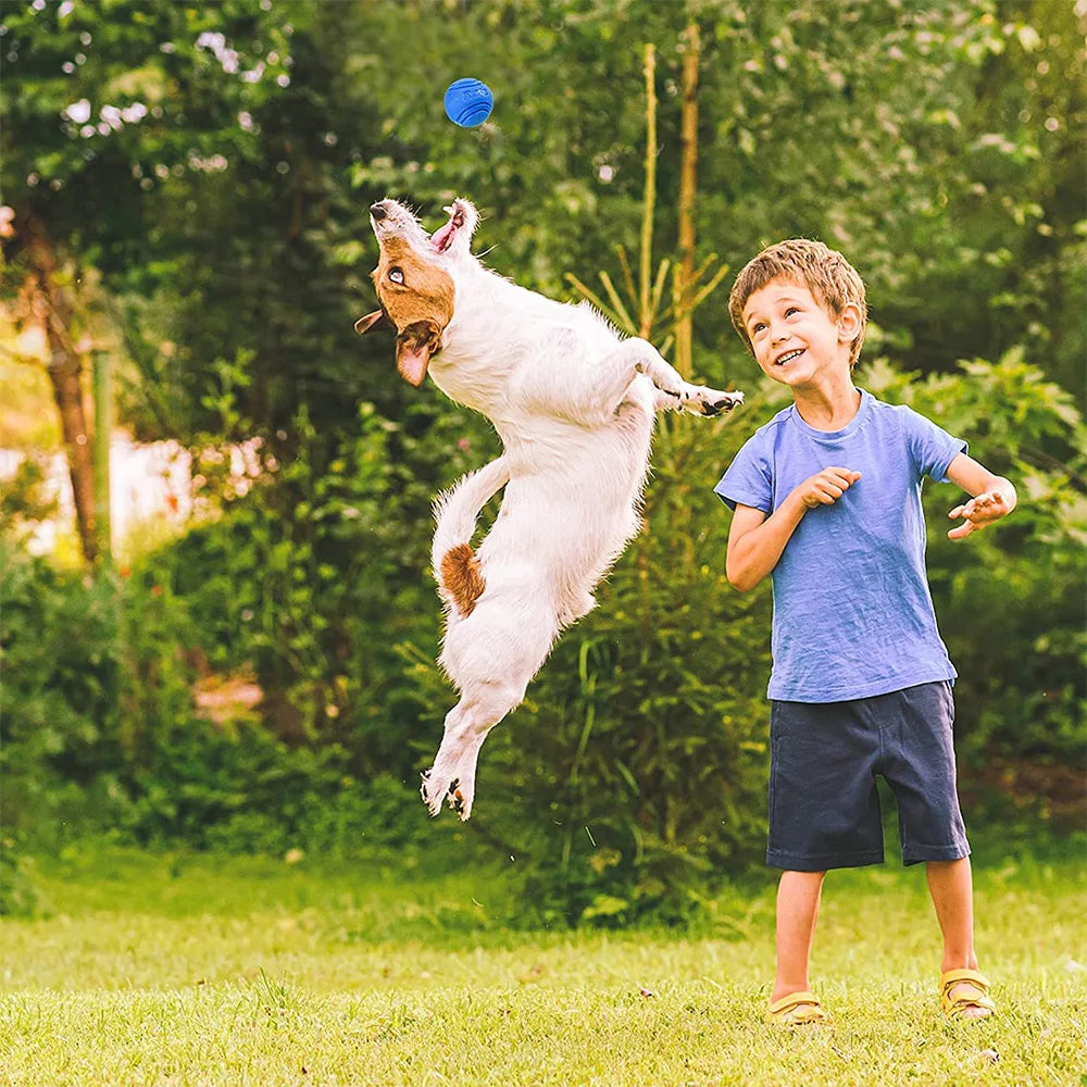 Solid Rubber Bouncy Ball Dog Toy – Durable Chew Ball for Outdoor Fetch & Retrieve Training