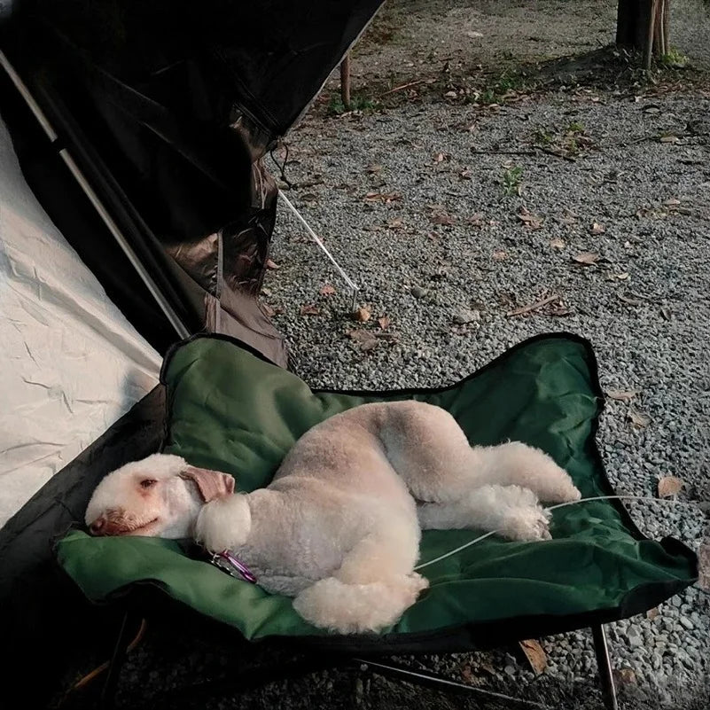 Outdoor Camping Foldable Pet Bed – Portable Raised Kennel with Waterproof Detachable Pad