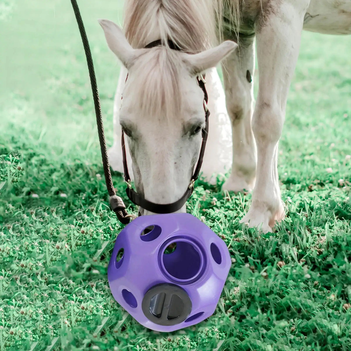 Fun 15.7" Horse Treat Ball – Horse Toy, Feed Ball & Multipurpose Feeding Toy