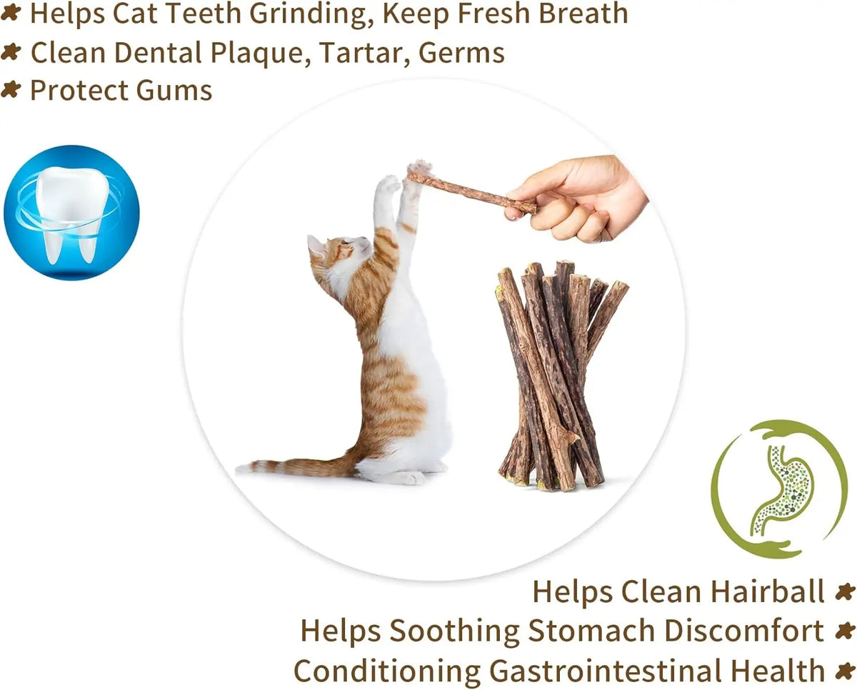 Natural Silvervine Cat Chew Sticks – Dental Cleaning Molar Toys for Cats & Kittens