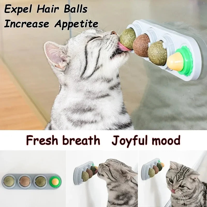4-in-1 Catnip & Silver Vine Ball, Rotating Dental Chew Toy