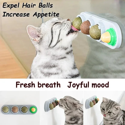 4-in-1 Catnip & Silver Vine Ball, Rotating Dental Chew Toy
