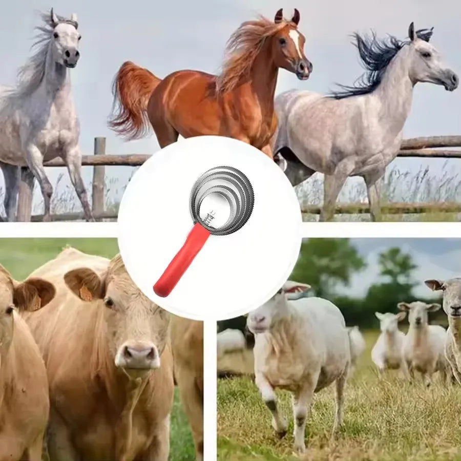Serrated Horse Curry Comb, Sweat Scraper & Deshedding Brush