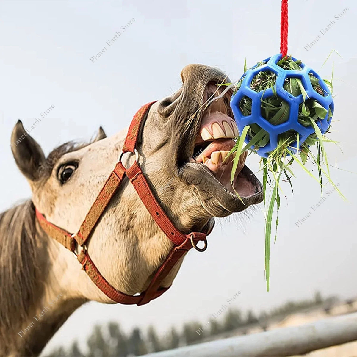 Horse Treat Ball Hay Feeder – Hanging Feeding Dispenser for Horses, Sheep & Tortoises, Stress Relief & Foraging Toy