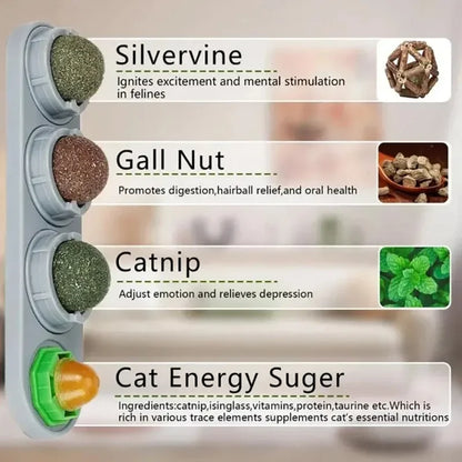 4-in-1 Catnip & Silver Vine Ball, Rotating Dental Chew Toy