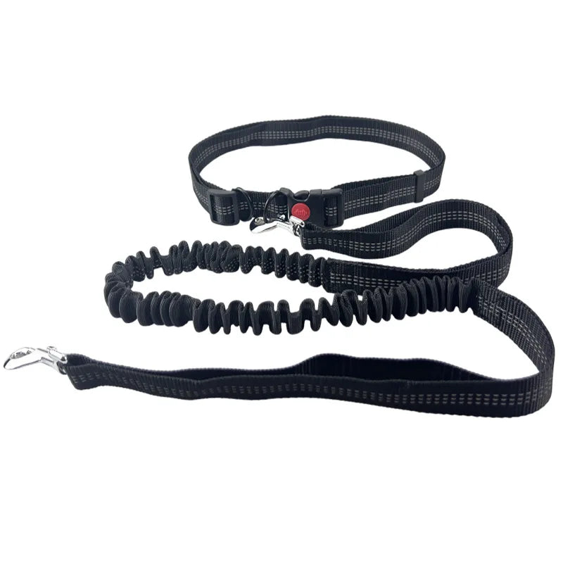 Hands-Free Dog Leash – Adjustable Waist Belt for Walking, Running & Jogging