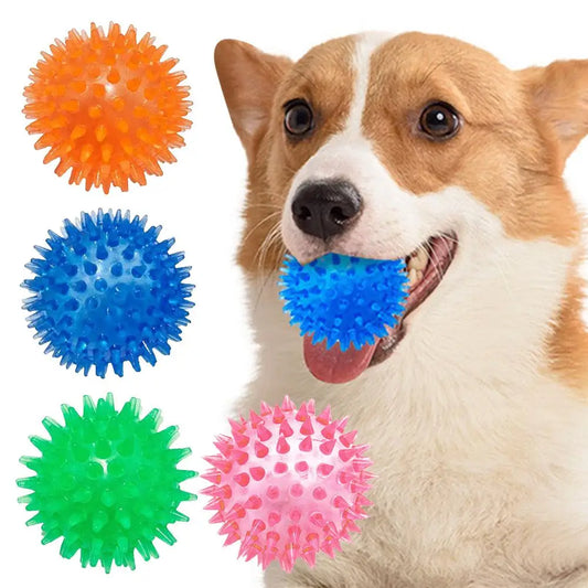 TPR Squeaky Ball Dog & Cat Toy – Spiky Textured Ball for Teeth Cleaning & Training
