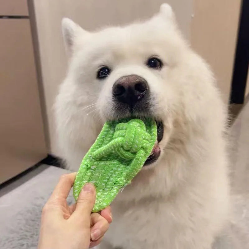 Funny Slipper-Shaped Dog Chew Toy – Cotton Rope Interactive Toy for Teeth Cleaning, Training & Anxiety Relief