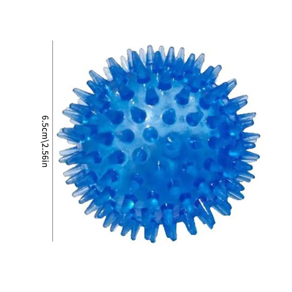 TPR Squeaky Ball Dog & Cat Toy – Spiky Textured Ball for Teeth Cleaning & Training