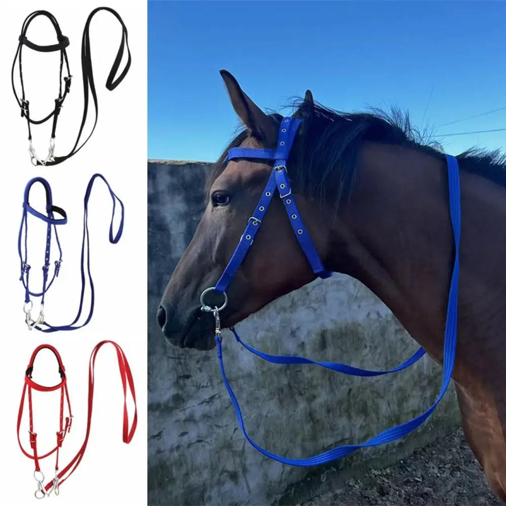 Thickened Horse Halter – Adjustable Comfortable Training Headcollar (3 Colors)