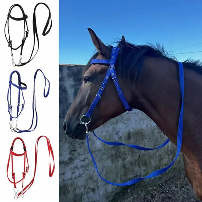 Thickened Horse Halter – Adjustable Comfortable Training Headcollar (3 Colors)