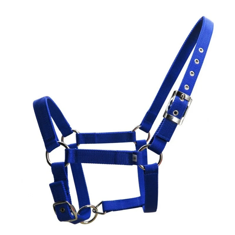 Adjustable Horse Halter – 25mm PP Webbing Headcollar with Metal Buckles (3 Colors)