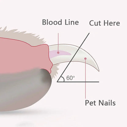 LED Light Pet Nail Clippers – Stainless Steel Professional Claw Trimmer for Dogs, Cats & Rabbits