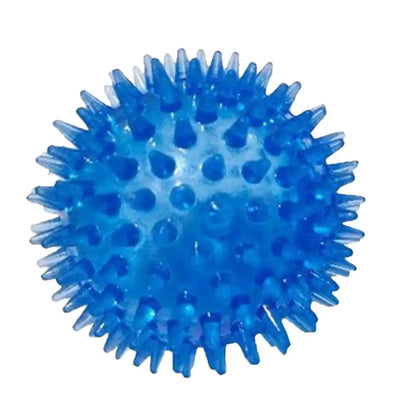 TPR Squeaky Ball Dog & Cat Toy – Spiky Textured Ball for Teeth Cleaning & Training