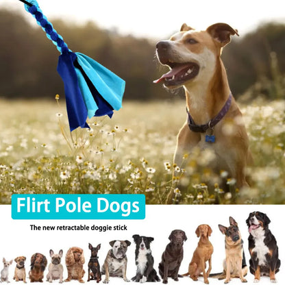 Dog Flirt Pole Toy – Interactive Chase & Training Teaser Wand with Rope Lure