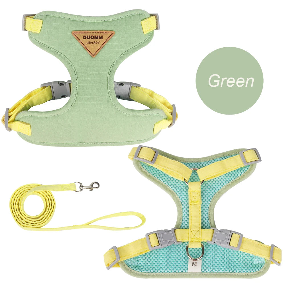 Pet Harness & Leash Set for Cats & Small Dogs, Breathable Durable Walking Harness