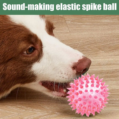 TPR Squeaky Ball Dog & Cat Toy – Spiky Textured Ball for Teeth Cleaning & Training