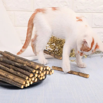 15-Pack Natural Matatabi (Silvervine) Cat Chew Sticks – Dental Cleaning & Teeth Care Catnip Toys