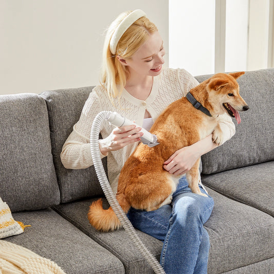 2.5L Pet Grooming Vacuum Kit, Cordless Low-Noise Clippers, 3 Suction Modes & 5 Tools