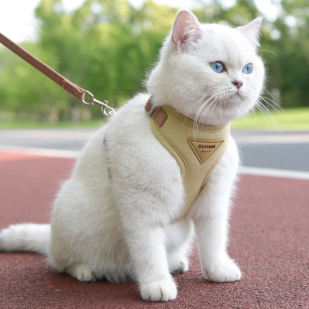 Pet Harness & Leash Set for Cats & Small Dogs, Breathable Durable Walking Harness