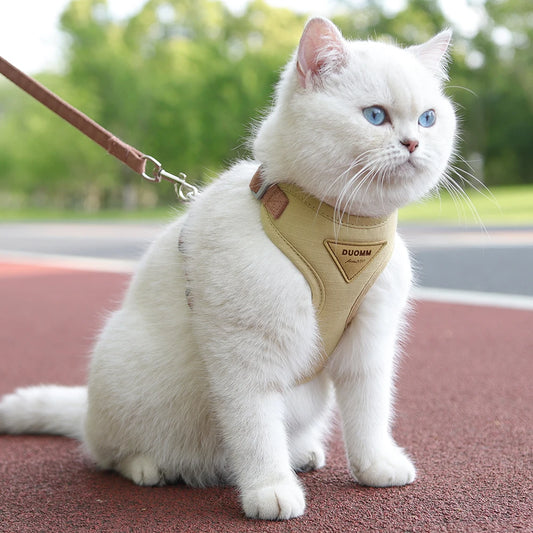 Pet Harness & Leash Set for Cats & Small Dogs, Breathable Durable Walking Harness