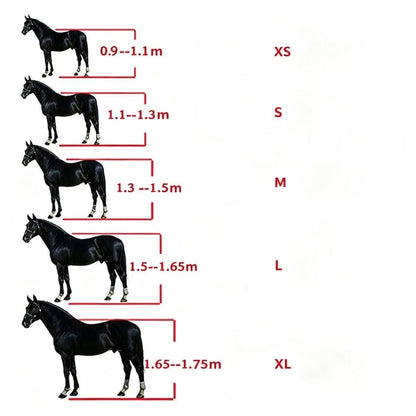 Adjustable Horse Halter – 25mm PP Webbing Headcollar with Metal Buckles (3 Colors)