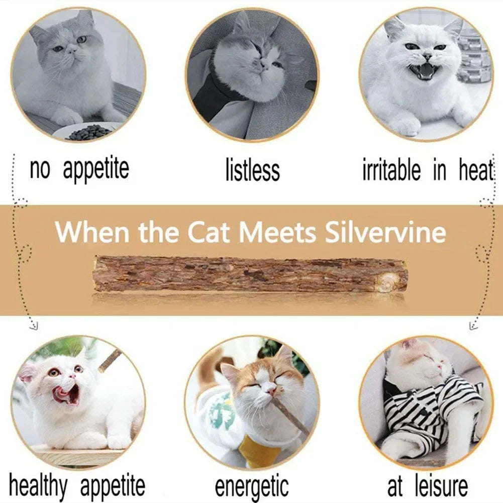 15-Pack Natural Matatabi (Silvervine) Cat Chew Sticks – Dental Cleaning & Teeth Care Catnip Toys