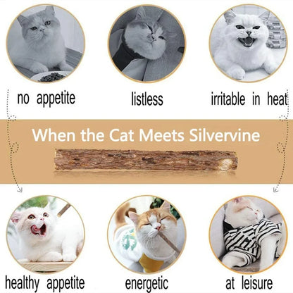 15-Pack Natural Matatabi (Silvervine) Cat Chew Sticks – Dental Cleaning & Teeth Care Catnip Toys