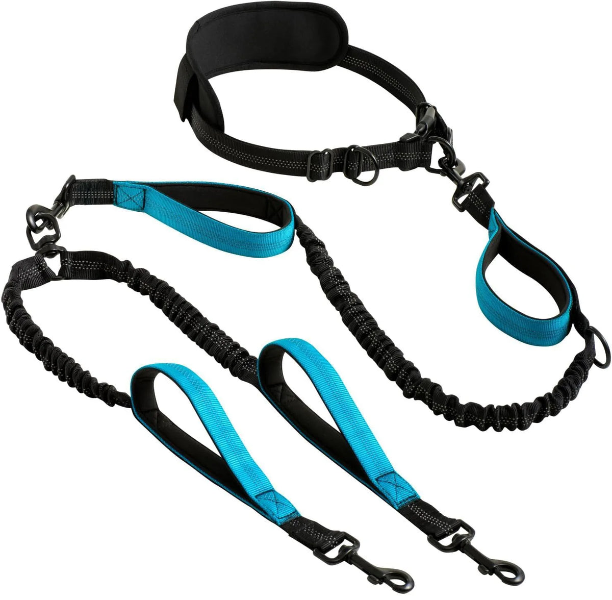 Shock-Absorbing Double Dog Leash – Elastic Buffer Hands-Free Running Lead for Small & Large Dogs