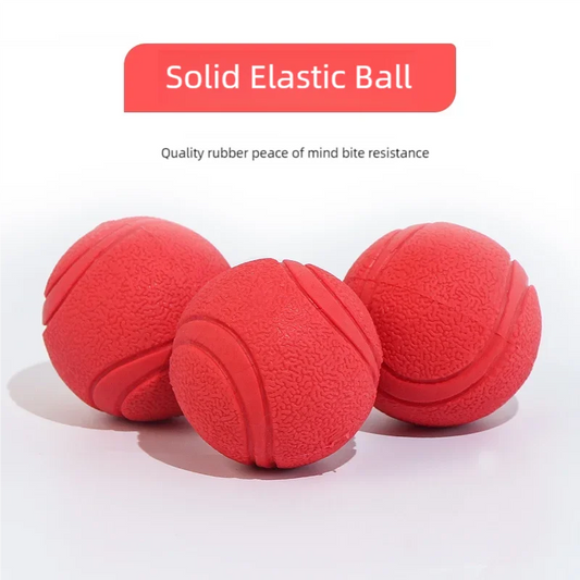 Solid Rubber Bouncy Ball Dog Toy – Durable Chew Ball for Outdoor Fetch & Retrieve Training