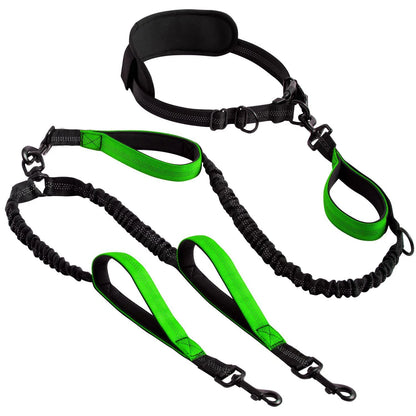 Shock-Absorbing Double Dog Leash – Elastic Buffer Hands-Free Running Lead for Small & Large Dogs