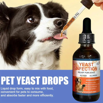 Dog Skin & Coat Care Drops – 60ml Herbal Pet Supplement for Healthy Skin & a Shiny Coat