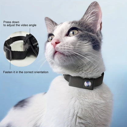 1080P Wireless Pet Collar Camera, HD Video Recorder for Dogs & Cats, No WiFi