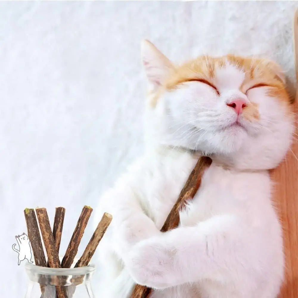Natural Silvervine Cat Chew Sticks – Dental Cleaning Molar Toys for Cats & Kittens