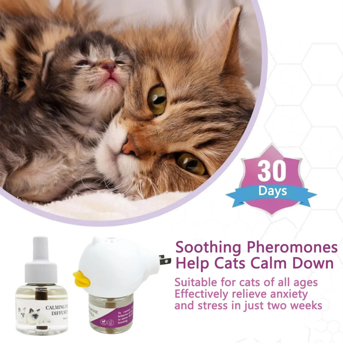 Cat Pheromone Plug-In Diffuser Starter Kit – 30-Day Calming Refill for a Relaxed Home