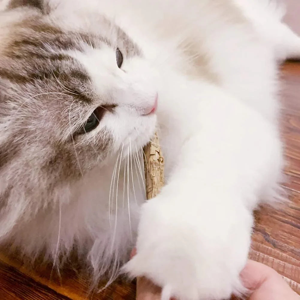 15-Pack Natural Matatabi (Silvervine) Cat Chew Sticks – Dental Cleaning & Teeth Care Catnip Toys