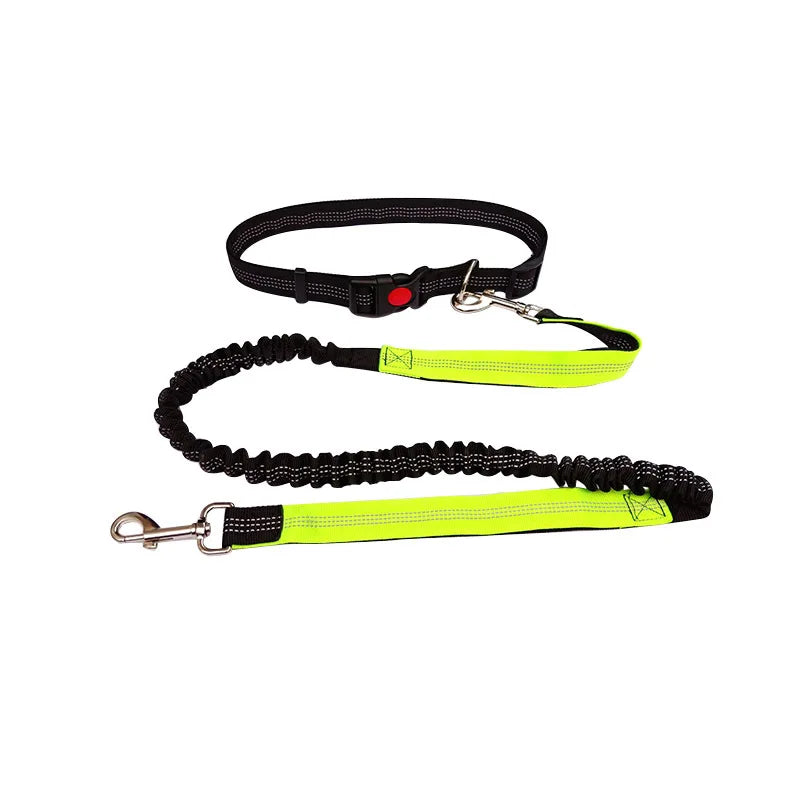 Hands-Free Dog Leash – Adjustable Waist Belt for Walking, Running & Jogging