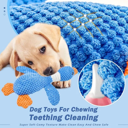 Squeaky Plush Chew Toy for Dogs & Cats – Interactive Toy for Aggressive Chewers