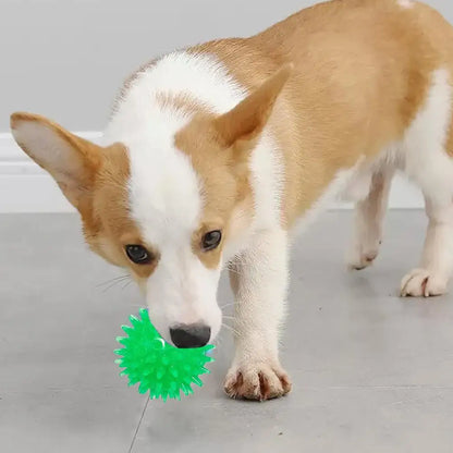 TPR Squeaky Ball Dog & Cat Toy – Spiky Textured Ball for Teeth Cleaning & Training