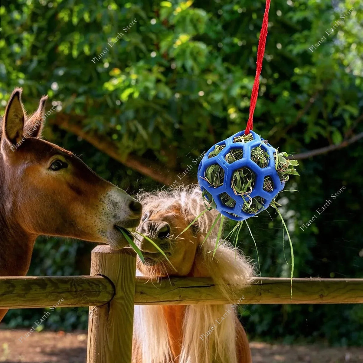 Horse Treat Ball Hay Feeder – Hanging Feeding Dispenser for Horses, Sheep & Tortoises, Stress Relief & Foraging Toy