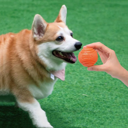 Solid Rubber Bouncy Ball Dog Toy – Durable Chew Ball for Outdoor Fetch & Retrieve Training