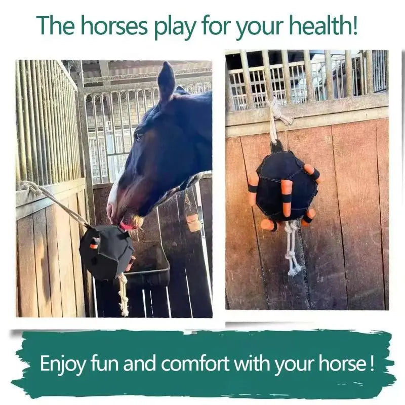 Horse Hay Ball Feeder Toy – Training & Enrichment Feeding Toy for Stalls, Chew-Resistant Stable Entertainment Device