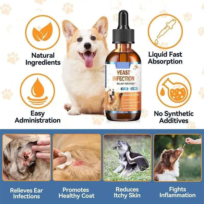 Dog Skin & Coat Care Drops – 60ml Herbal Pet Supplement for Healthy Skin & a Shiny Coat