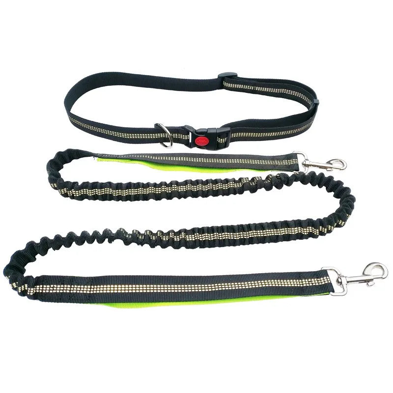 Hands-Free Dog Leash – Adjustable Waist Belt for Walking, Running & Jogging
